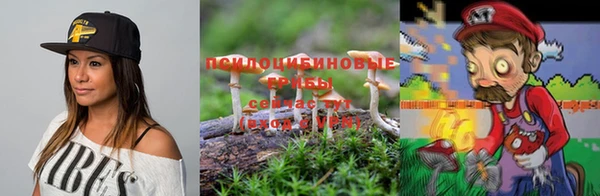 не бодяженный Медногорск