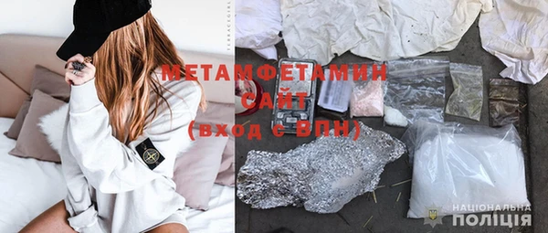 шишки Бородино