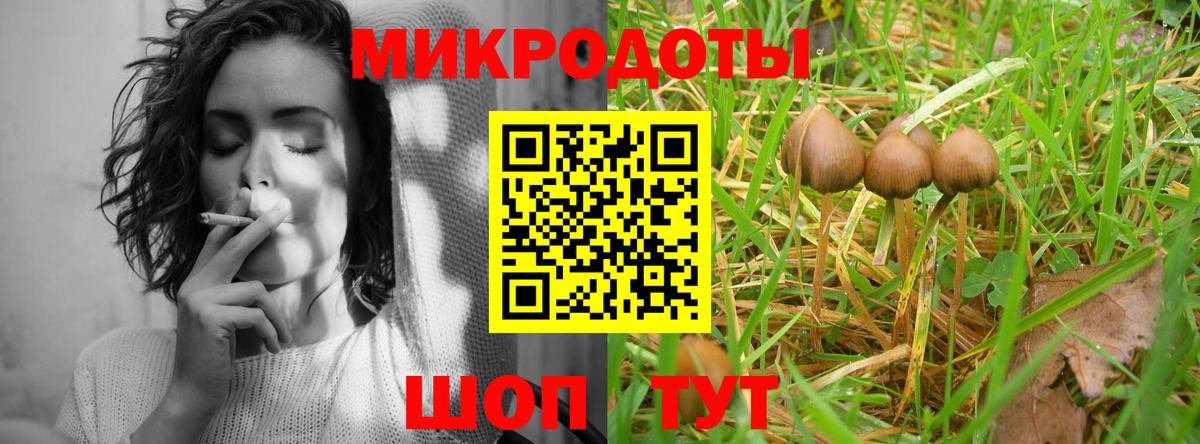 Псилоцибиновые грибы мицелий Урай